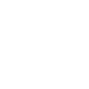 Accessibility Information - Icon