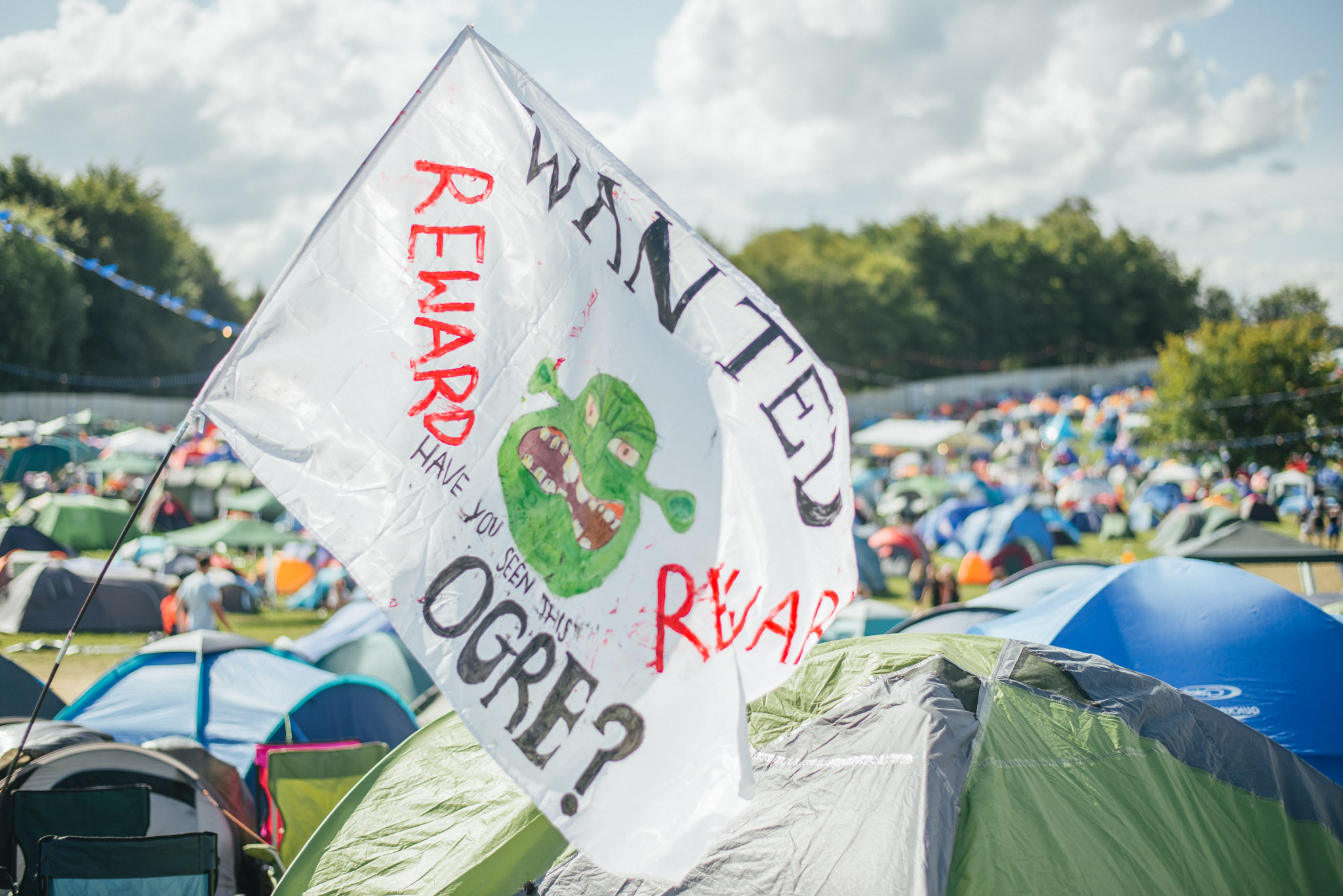 Festival Hacks Camping Flag