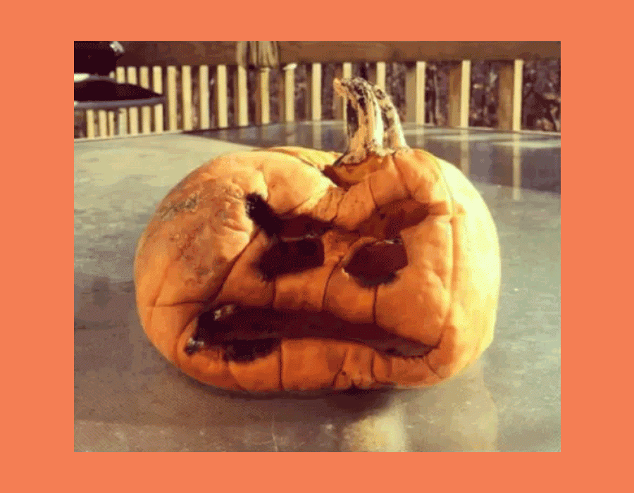 Pumpkin-Fails-5