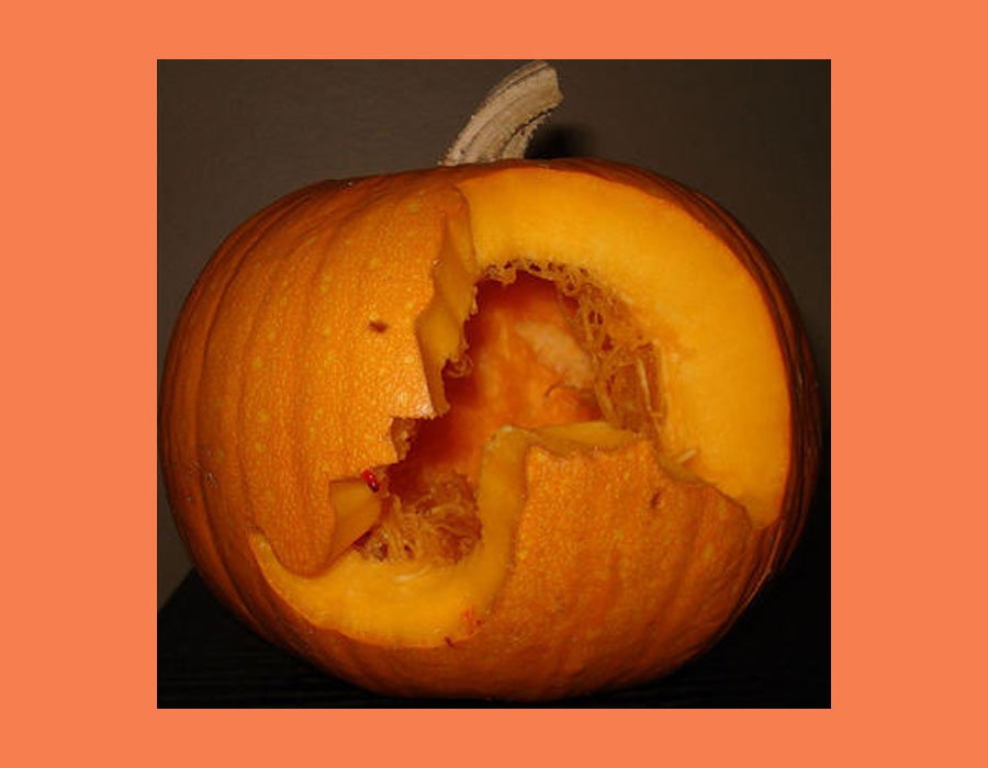 Pumpkin-Fails-6