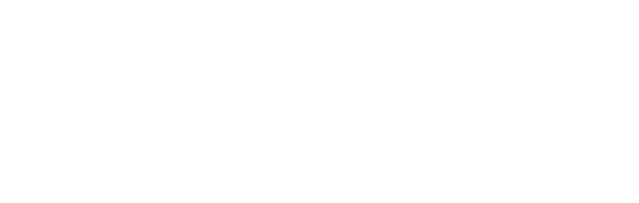 Veygo Logo